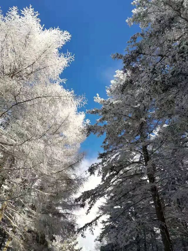 2025初雪赴一場蘆芽山冰雪奇緣!古堡溫泉全攻略 2025初雪赴一場蘆芽山冰雪奇緣!古堡溫泉全攻略