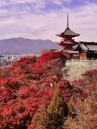 京都𝐊𝐲𝐨𝐭𝐨｜漫畫照進現實