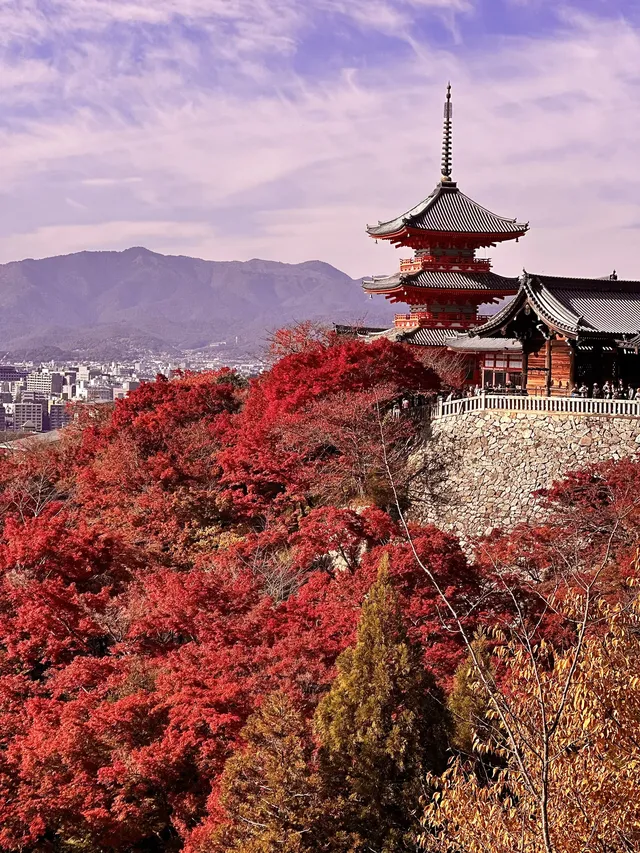 京都𝐊𝐲𝐨𝐭𝐨｜漫畫照進現實