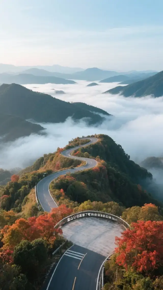 Enter the "Qiongzhong·Heart of the Central Hainan Sea of Clouds" for 600 RMB! 2 days 1 night forest secret realm