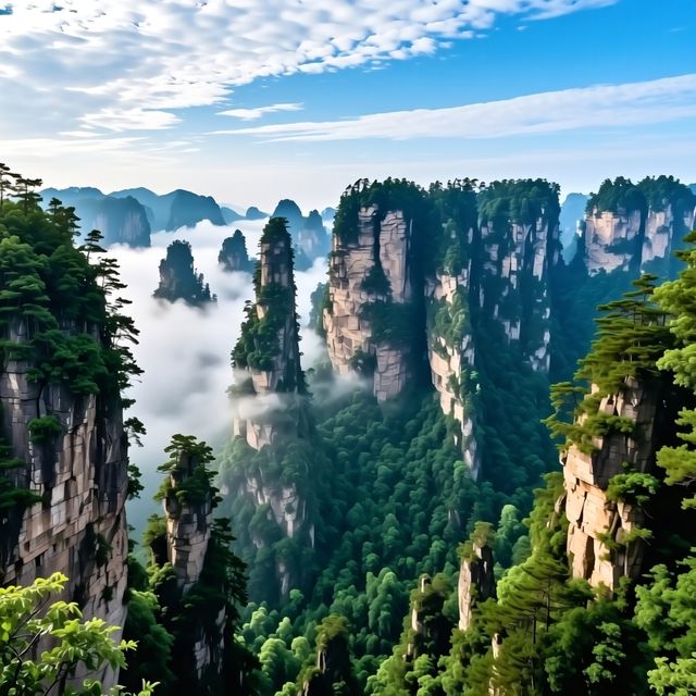 湖南10天9晚一家四口家庭旅行攻略(預算:12000元) 湖南10天9晚一家四口家庭旅行攻略(預算:12000元)