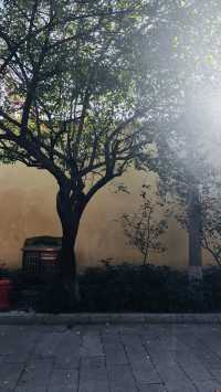 泉州藏了一處千年古寺!比開元寺更清淨