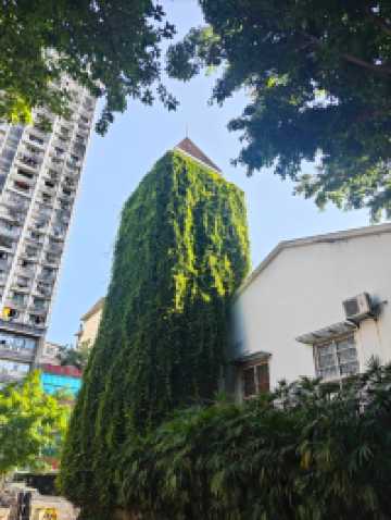 重慶九龍坡區公園一日遊攻略（預算：約300元）