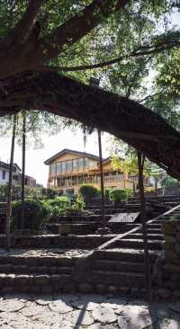 福州嵩口古鎮:景色醉人的桃源仙境