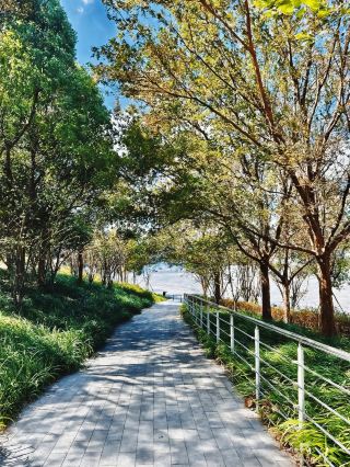 "Namibia and Multiple Countries Tour | Complete Guide"