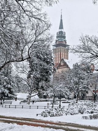 Subotica's Winter Charm, Art Nouveau Architecture Hides Snowy Delights
