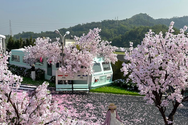 深圳の桜撮影＆チェックイン攻略｜和風の鉄道口の桜限定絶景 | Trip