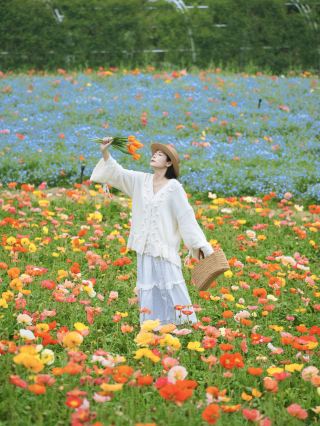 Jiangsu-Zhejiang-Shanghai Surrounding Tours｜Step into a Floral Wonderland for a Spring Flower Feast