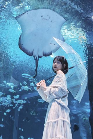 哈爾濱極地公園拍照遊玩全攻略