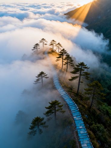 22℃の夏！雲上の避暑仙境、渦巻く雲海が心を癒す | Trip.com 廬山