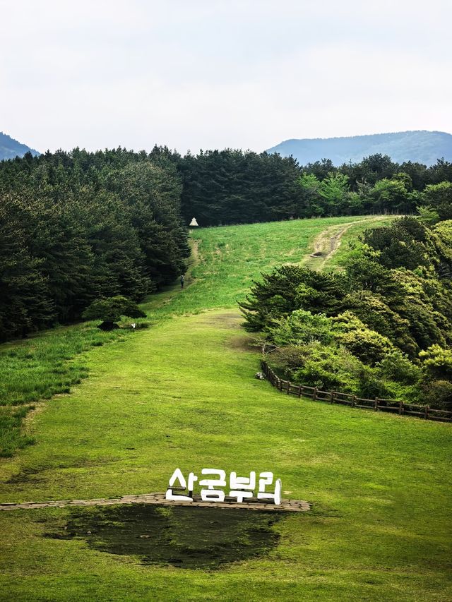 濟州島小眾秘境｜山君不離，火山口的溫柔日落