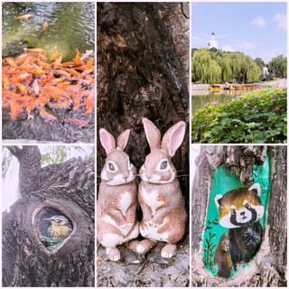北海公園隱藏彩蛋!這些萌翻的樹洞畫我找全了