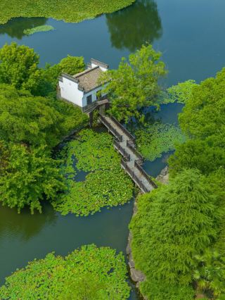 Langit-langit di tempat peristirahatan musim panas di selatan Anhui ini bahkan lebih menenangkan daripada Hongcun! Sebuah kota hutan kunang-kunang di musim panas.
