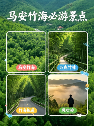 萬畝竹海現實版綠野仙蹤