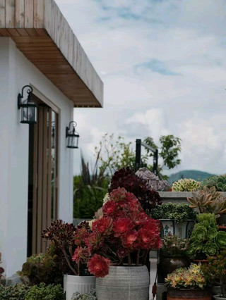 Lijiang Hotel Photo Secrets: Rooftop Garden for Epic Snow Mountain and Cloud Shots 🏔️☁️