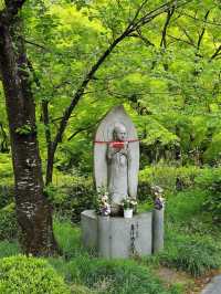 6天日本遊暑假這樣安排才不留遺憾