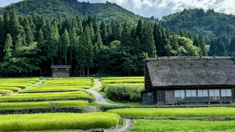 The ultimate 7-day Japan travel guide: just follow this itinerary — traveler post in Ena