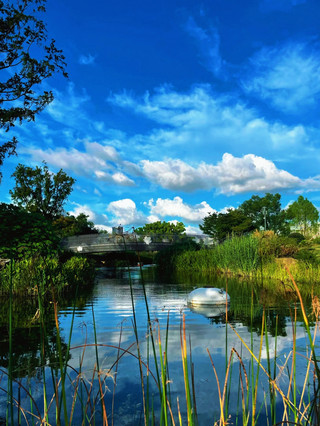 Mind-blowing! The ultimate late-summer healing spot in Shanghai is actually hidden in the botanical garden