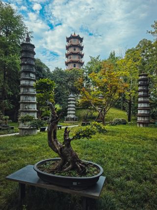Why didn't anyone tell me about this beautiful Chinese Famous Pagoda Garden sooner