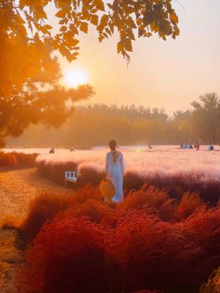 The autumn city walk routes I take every friend to when they visit Beijing…