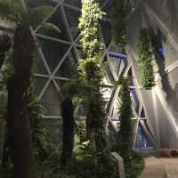 An amazing Jewel Changi