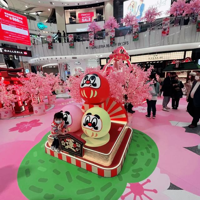 春日櫻花緣
