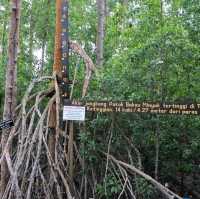 Venture into the Heart of Tanjung Piai