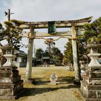 近江八幡古城周邊老神社【八幡神社】