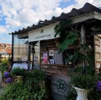 สวนดอกไม้เชียงใหม่ I Love Flower Farm
