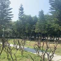 風景優美 深圳灣公園