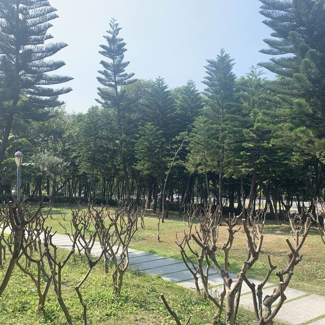 風景優美 深圳灣公園