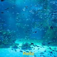 AQUARIA PHUKET 