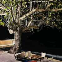 คาเฟ่ ร้านอาหารอร่อย ริมทะเล ที่ขนอม ต้องมา