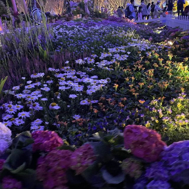 返嚟啦，返嚟啦，2023香港🌸🌹🌻花卉展覽