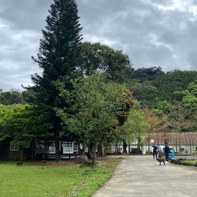 來一趟歷史之旅｜大寮茶文館🍵