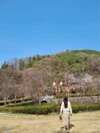 고즈넉한 분위기에 봄꽃 즐기기, “우암사적공원”🌼