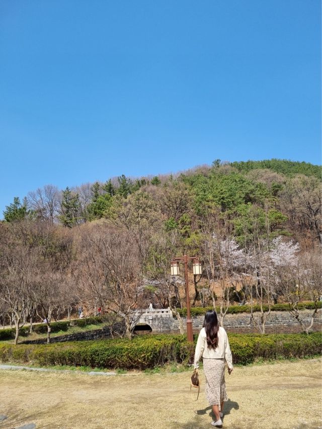 고즈넉한 분위기에 봄꽃 즐기기, “우암사적공원”🌼