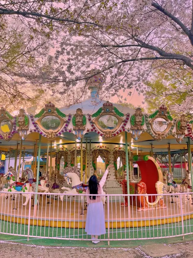 동화 속에 온 듯한 벚꽃뷰 놀이공원 🎡🌸