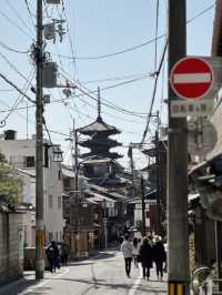 🇯🇵｜Kyoto One-day Tour with kimono