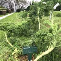 FARM TOGETHER-SKY FARM
