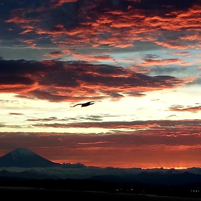 Enoshima Sunset x Mt. Fuji