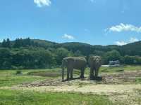 【山口北部】半日おすすめ観光スポット