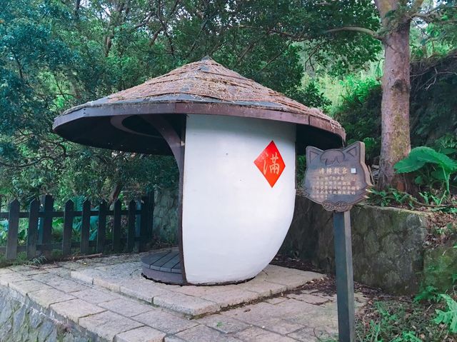 台北必去景點🐱貓空泡茶🍵