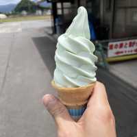 【静岡】伊豆わさびミュージアムとわさびグルメ