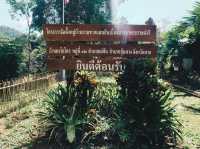ดอยพาวี | อุ้มผาง | ประเทศเมียนมาร์