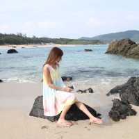 奄美大島の抑えておきたいSPOT🏖️