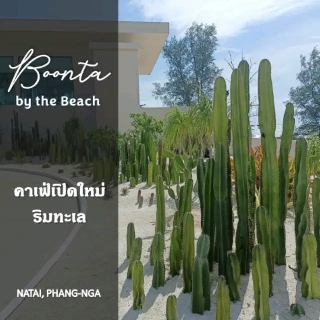 จิบกาแฟ ฟังเสียงคลื่น ที่ Boonta by The Beach