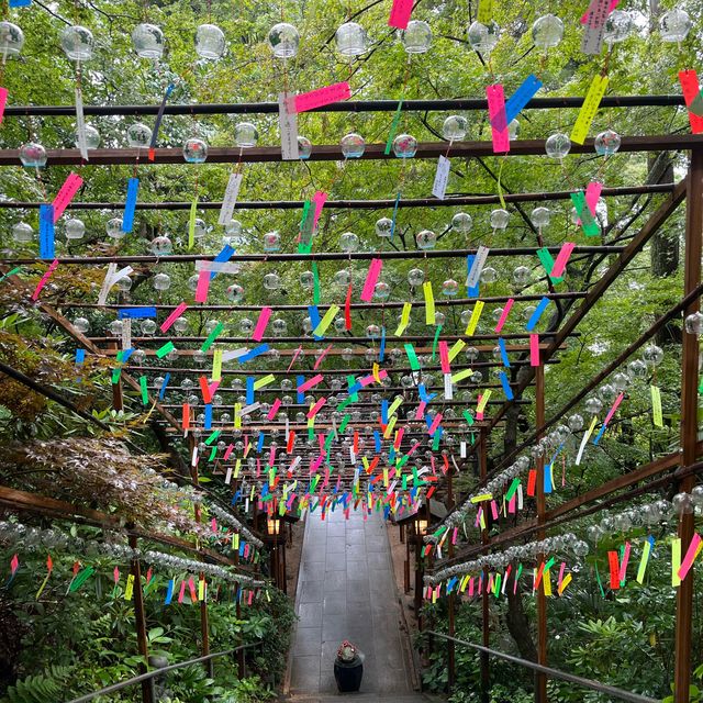 ~福岡 如意輪寺 かえる寺~夏の風物詩🎐