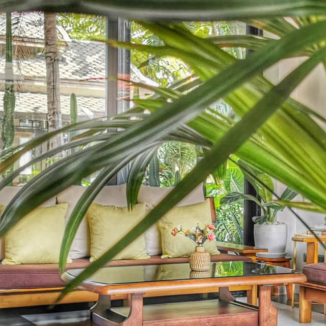 • Panya Cafe ☕️✨ 