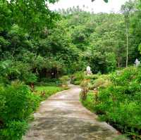 Lamai Viewpoint